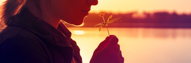 AP22 Site 1030X302 Headway POST (1)