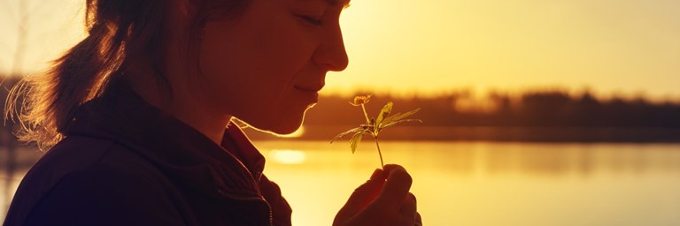 Shutterstock 644075530