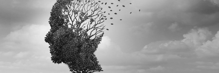 Header Focus On Tulburarile De Sanatate Mintala